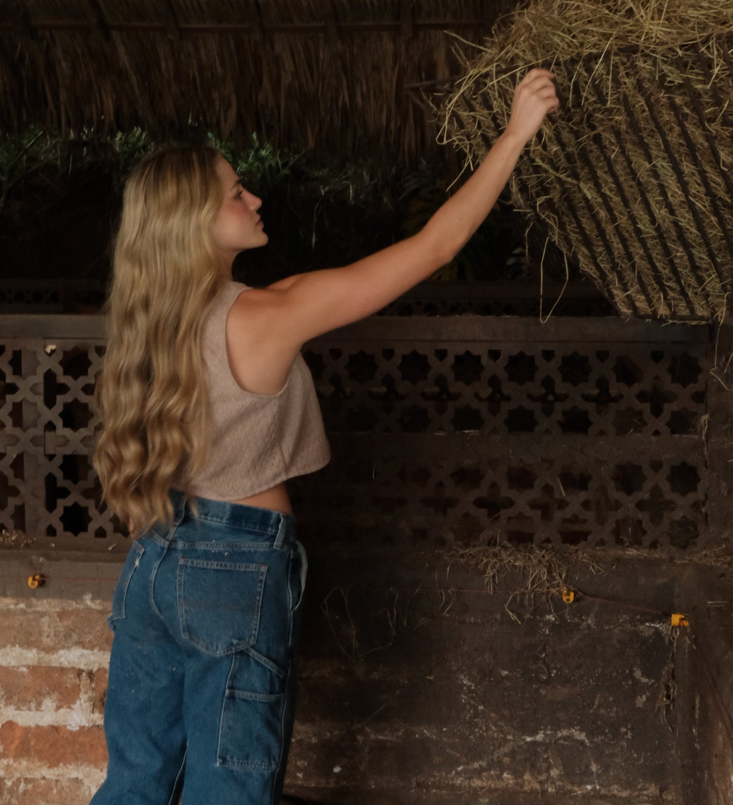 Wild Grace Chaleco